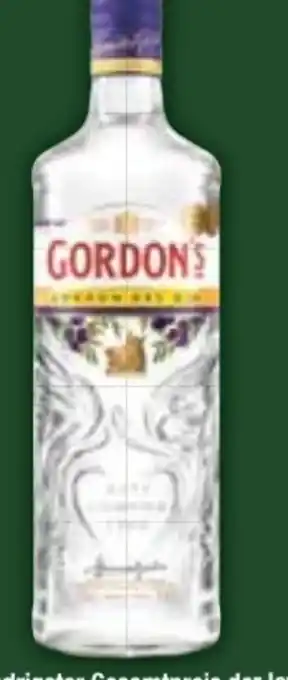 E-Center Gordon's Gin Angebot