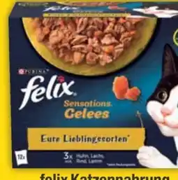 E-Center Purina Felix Katzennahrung Angebot