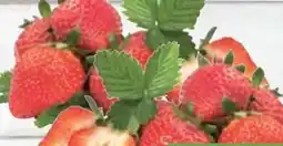E-Center Erdbeeren Angebot
