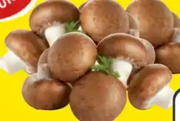 Edeka Gut & Günstig Frische Champignons Angebot