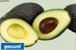 Edeka Xpress Edeka Herzstücke Avocado Hass Angebot