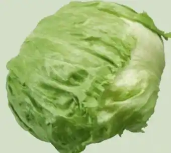 Edeka Xpress Eisbergsalat Angebot
