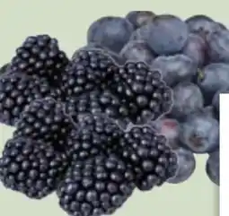 Edeka Xpress Brombeeren Angebot