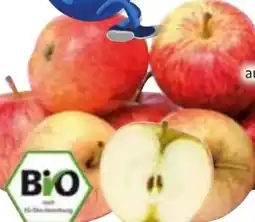 Edeka Bio Tafeläpfel Angebot