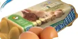 Edeka Bayerische Eier Angebot