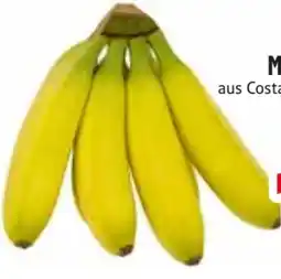Edeka Mini-Bananen Angebot