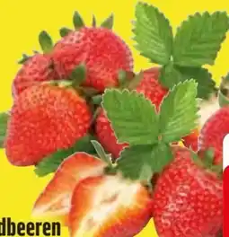 Edeka Erdbeeren Angebot