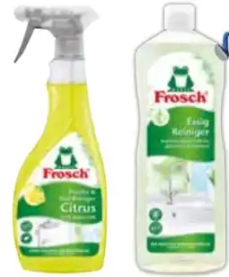 Edeka Frosch Reiniger Angebot