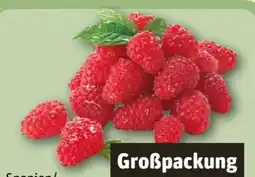 REWE Center Himbeeren Angebot