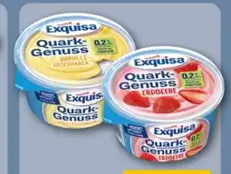 REWE Center Exquisa Quark Genuss Angebot