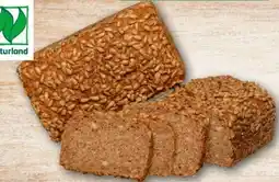 REWE Center Rewe Back-Station Bio Roggenvollkornbrot Angebot