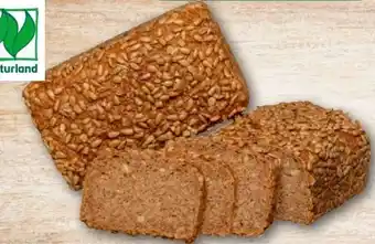 REWE Center Rewe Back-Station Bio Roggenvollkornbrot Angebot