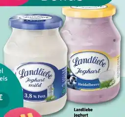 REWE Center Landliebe Joghurt Angebot