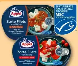 REWE Center Appel Zarte Filets vom Hering Angebot