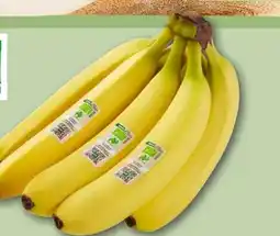 REWE Rewe Bio Bio-Bananen Angebot