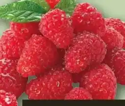 REWE Himbeeren Angebot