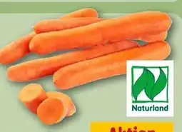 REWE Rewe Bio Bio-Speisemöhren Angebot