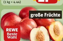 REWE Rewe Beste Wahl Nektarinen gelbfleischig Angebot