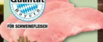 REWE Schweine-Schnitzel Angebot