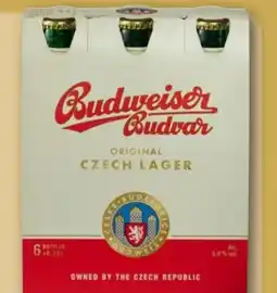 REWE Budweiser Budvar (CZ) Czech Premium Lager Angebot