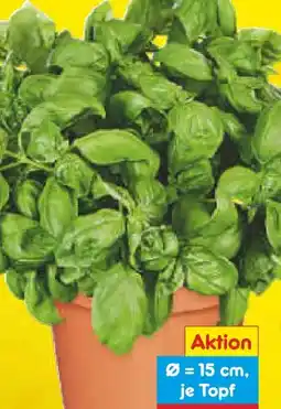 Netto Marken-Discount Basilikum-Topf Angebot