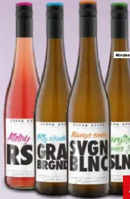 Netto Marken-Discount Young Poets Wine Allday Rose Angebot