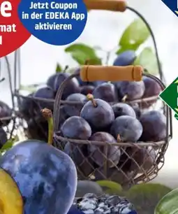 Edeka Unsere Heimat Echt & Gut Zwetschgen Angebot