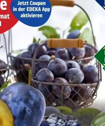 Edeka Unsere Heimat Echt & Gut Zwetschgen Angebot