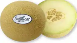 Scheck-in-Center SanLucar Melonen Galia Angebot