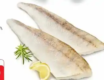 Edeka Zanderfilets Angebot
