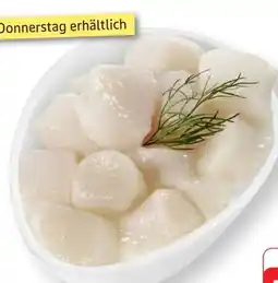 Edeka Kammmuschelfleisch Angebot
