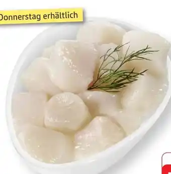 Edeka Kammmuschelfleisch Angebot