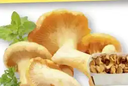 Edeka Pfifferlinge Angebot
