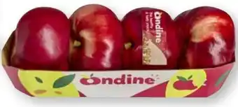 Scheck-in-Center Ondine Plattnektarinen Angebot