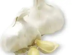 Scheck-in-Center Knoblauch Angebot