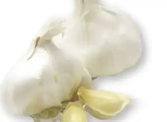 Scheck-in-Center Knoblauch Angebot