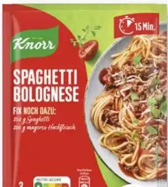 Scheck-in-Center Knorr Fix Spaghetti Bolognese Angebot