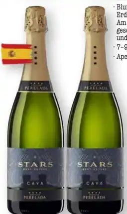 Scheck-in-Center Castillo de Perelada Cava Stars Angebot