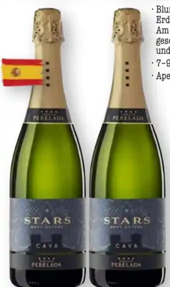 Scheck-in-Center Castillo de Perelada Cava Stars Angebot