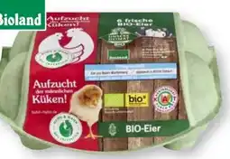 Scheck-in-Center Unsere Heimat Echt & Gut Huhn Hahn Bio-Eier Angebot