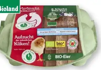 Scheck-in-Center Unsere Heimat Echt & Gut Huhn Hahn Bio-Eier Angebot