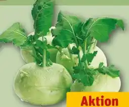 REWE Center Kohlrabi Angebot