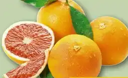 REWE Grapefruit Angebot