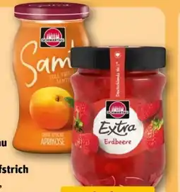 REWE Schwartau Fruchtaufstrich Samt Angebot