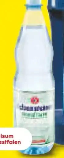 Netto Marken-Discount Felsensteiner Mineralwasser Angebot