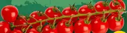 PENNY Marktliebe Mini-Cherry-Rispentomaten Angebot