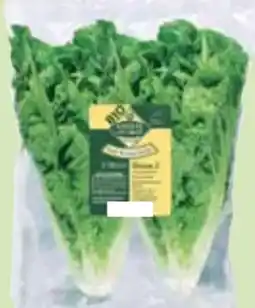 Edeka Unsere Heimat Bio Salatherzen Mini Romana Angebot