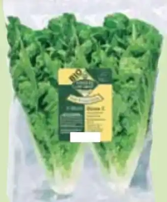 Edeka Unsere Heimat Bio Salatherzen Mini Romana Angebot