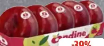 Edeka Frischemarkt Ondine Plattnektarinen Angebot