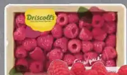 Edeka Driscoll's Himbeeren Angebot